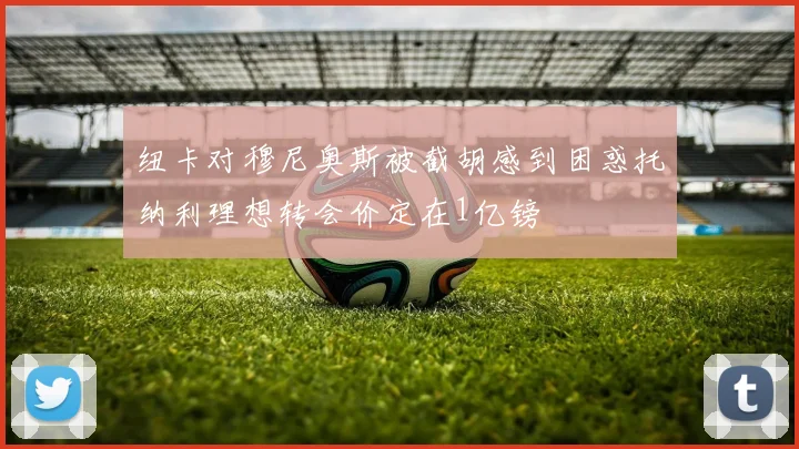 纽卡对穆尼奥斯被截胡感到困惑托纳利理想转会价定在1亿镑